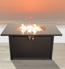Living Source International 25'' H x 42'' W Steel Outdoor Fire Pit Table with Lid (Black)